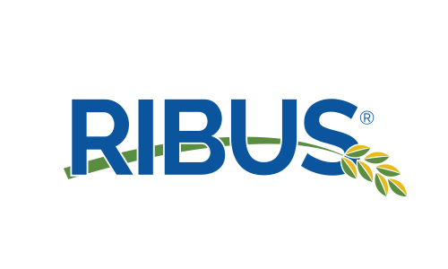 RIBUS